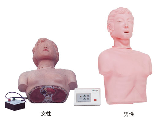 半身心肺復(fù)蘇訓(xùn)練模擬人 KAS/CPR170 半身心肺復(fù)蘇訓(xùn)練模擬人 KAS/CPR170