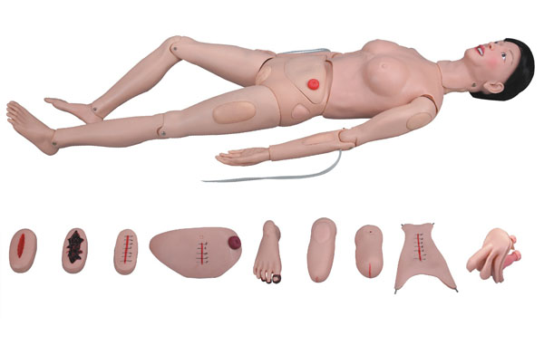 上?？等?高級全功能護(hù)理人訓(xùn)練模型（女性） KAR/2200