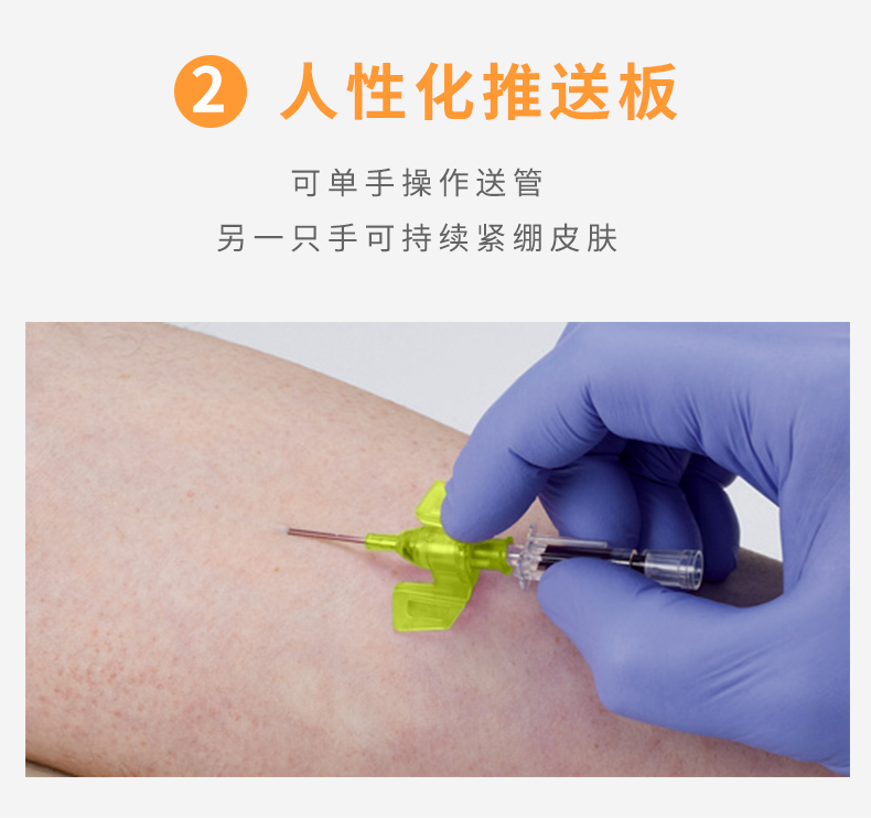 德國(guó)貝朗Introcan Safety-W 英全康24G  